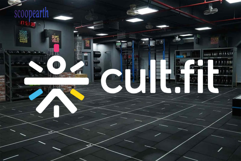 cult fit crossed revenue of Rs 927 crore with a loss of Rs 535 crore in FY24