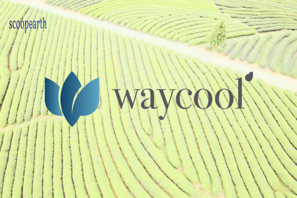 Waycool cultivates $12M with Grand Anicut funding