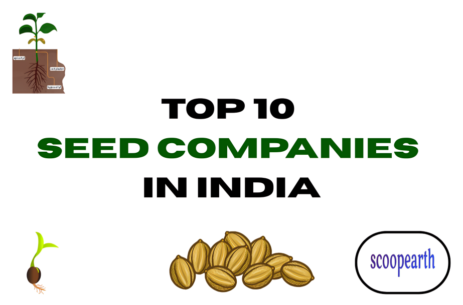 Top 10 Seed Companies in India