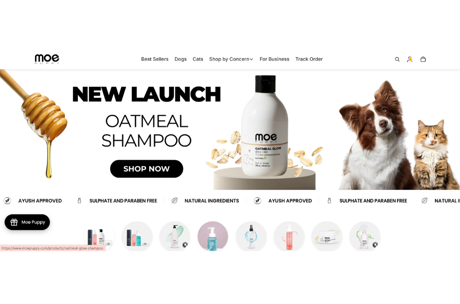 Moe Puppu ₹2 crore funding