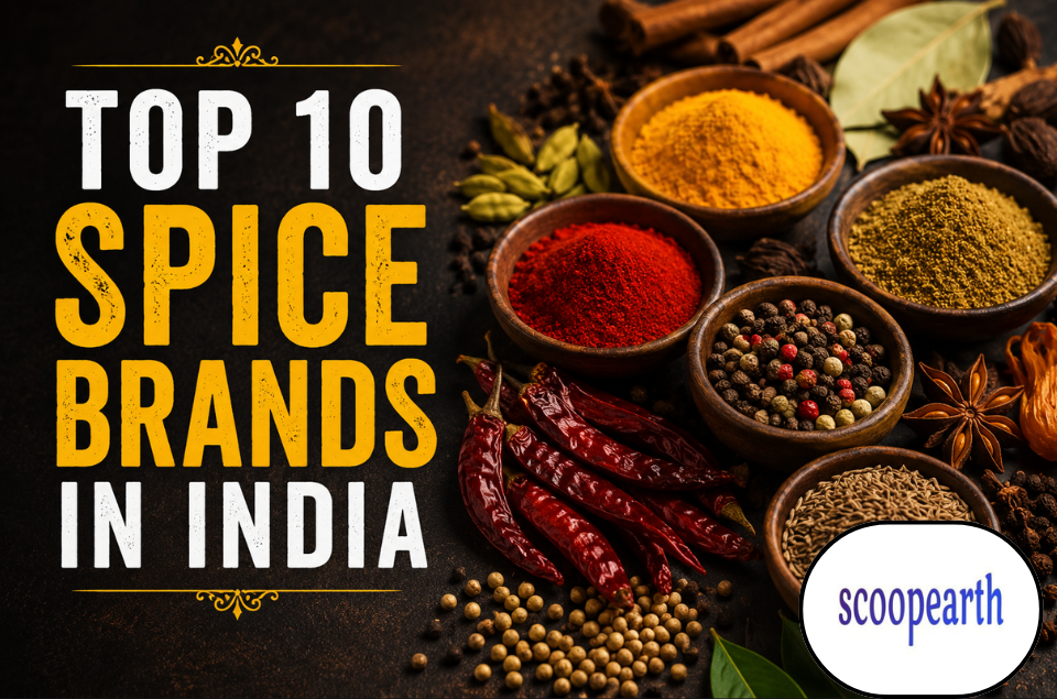 Top 10 spice brands in India featuring leading masala companies