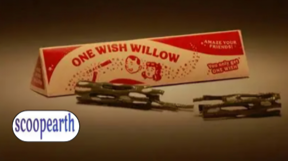 One Wish Willow