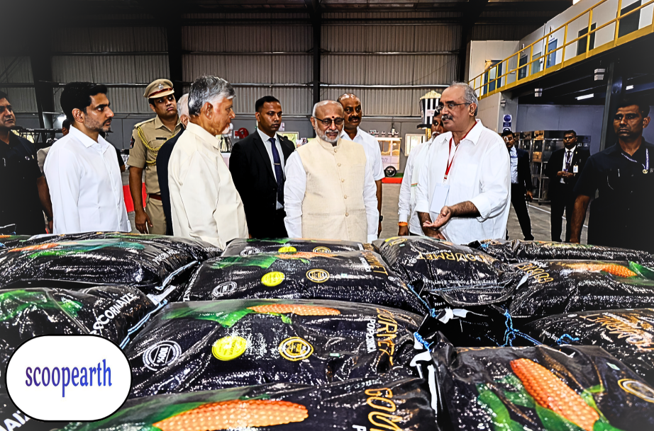 India’s first non-GMO popcorn maize hybrid seeds