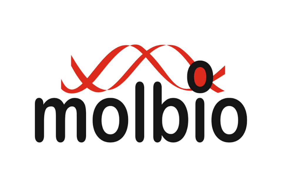 Molbio Diagnostics secures ₹281 crore from anchor investors ahead of its IPO.