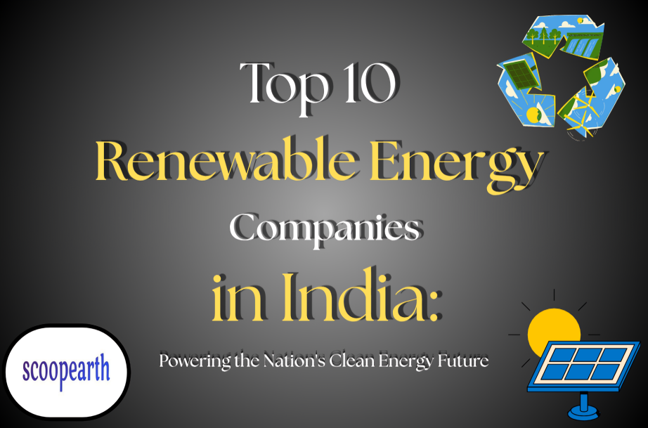 Top 10 renewable energy companies in India powering clean energy growth
