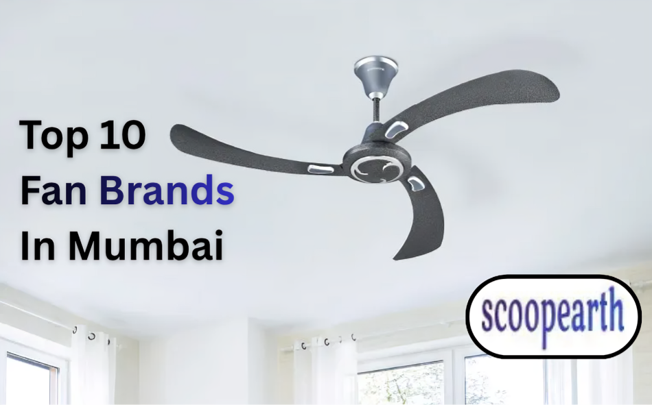 Top 10 Fan Brands in Mumbai