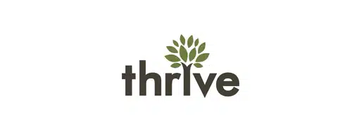Thrive Internet Marketing Agency